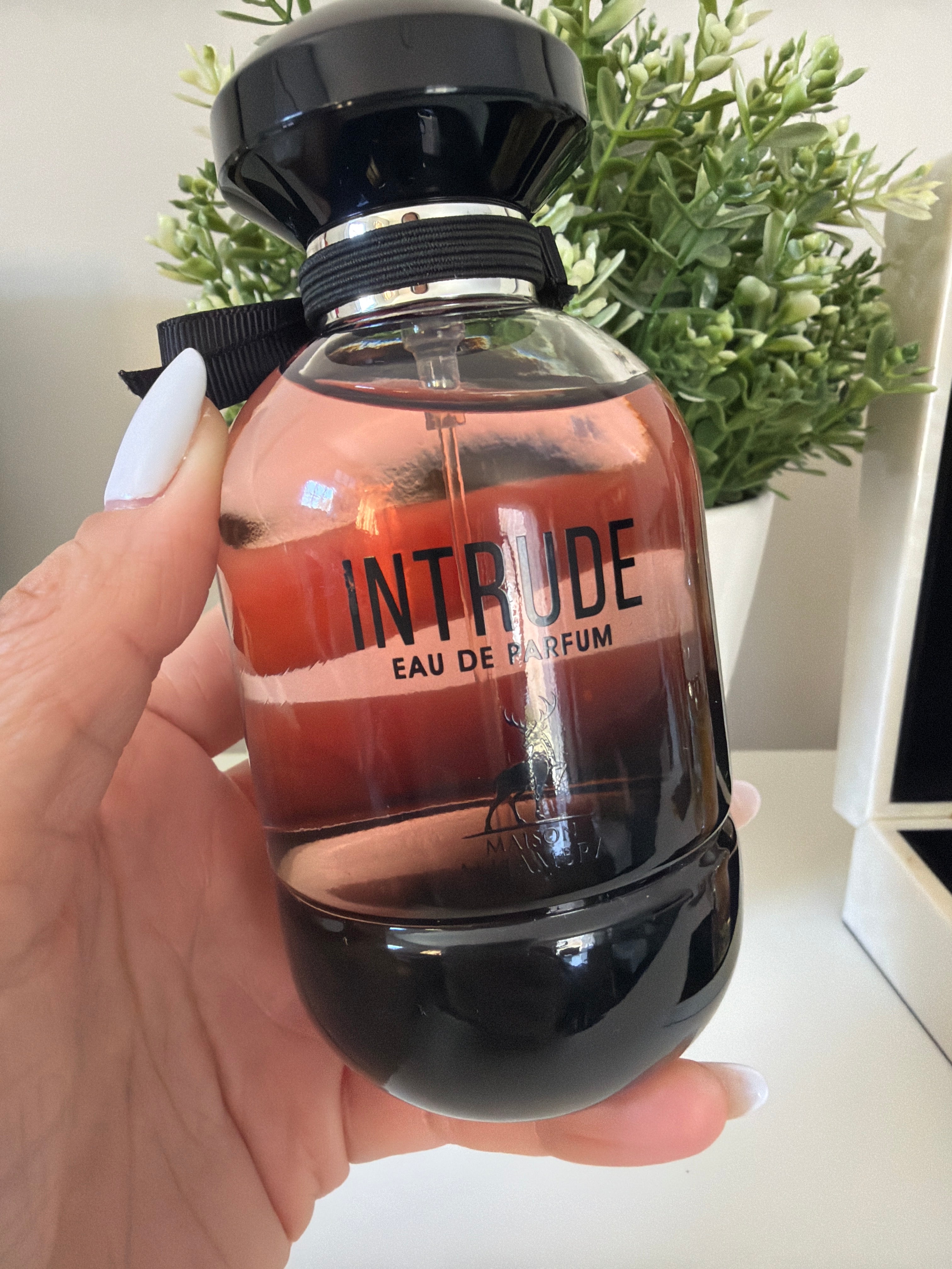 Lintrude Eau de Parfum 100 ml (Ref. Olfativa L´interdit) 100 ml – Perfume Árabe