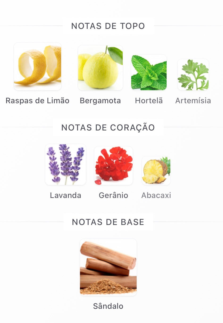 Rayhaan Noturno Elixir EDP