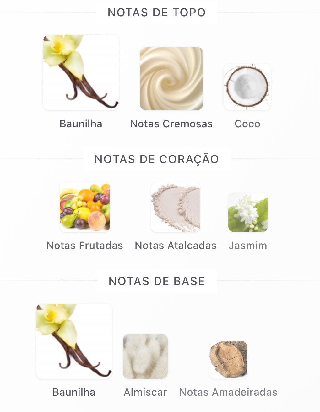Zenith Riiffs Perfumes Compartilhável