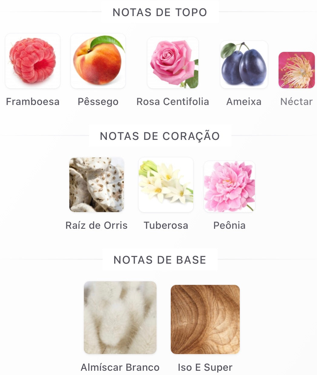Hulm de Riiffs Perfumes