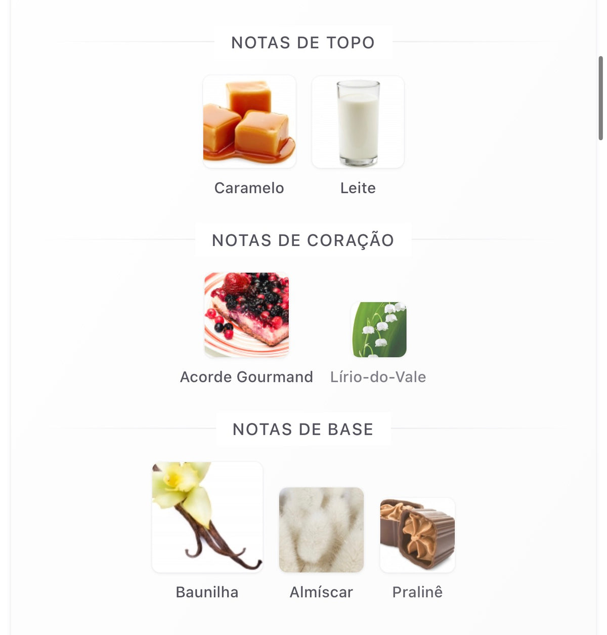 Riiffs Noor para Homem/Mulher , Extrato de Perfume 100ml