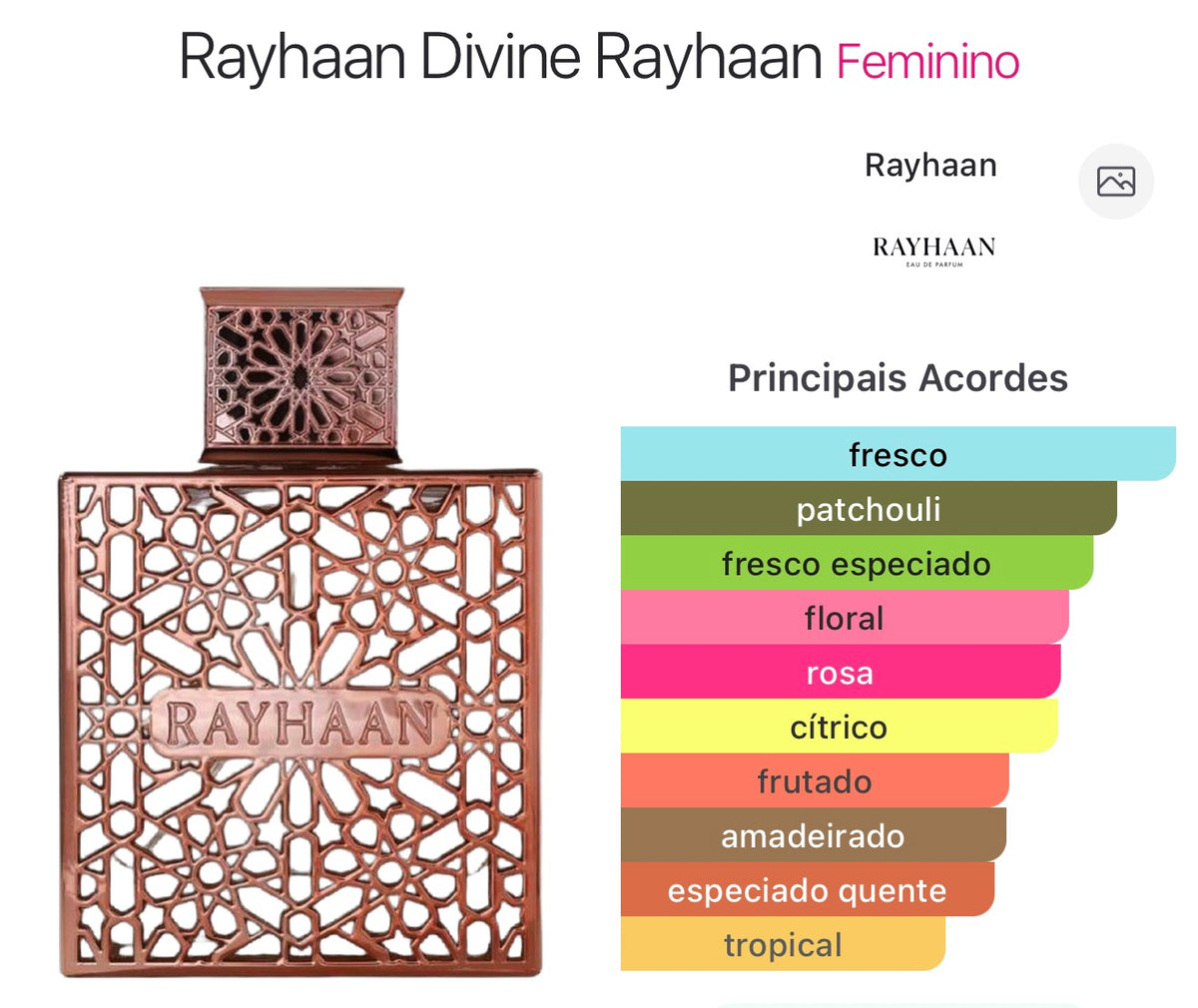 Rayhaan Divine / Inspired Attrape-Rêves Louis Vuitton